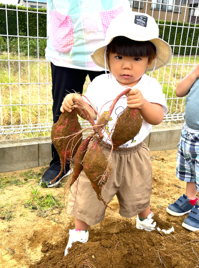おいもほり🍠したよ